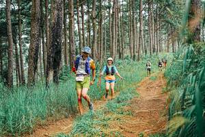 BIB: 
                            <button type="button" onclick="openModal(25654397)" class="btn btn-primary btn-sm float-right btn-popup" data-toggle="modal" data-target=".modal-high-quality">
                        <i class="fas fa-shopping-cart"></i> Add to Cart
                    </button>
                                            <button type="button" onclick="isThisMe(25654397, true)" class="btn btn-success btn-sm float-right btn-popup btn-isme hidden" data-toggle="tooltip" data-placement="bottom" title="นี่คือรูปของคุณใช่ไหม คลิกที่นี่เพื่อเอาเข้าอัลบั้ม">
                        <i class="fas fa-plus"></i> Add to album
                    </button>
                    <button type="button" onclick="isThisMe(25654397, false)" class="btn btn-warning btn-sm float-right btn-popup btn-isnotme hidden">
                        <i class="fas fa-ban"></i> Remove from album
                    </button>